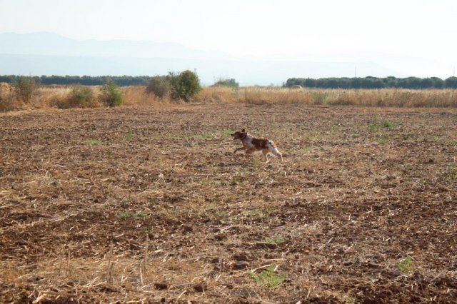 Αγωνες Α.Κ.Ι 18/6/2017